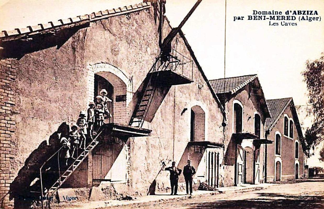 Beni-Mered - Domaine d'Abziza - Caves.jpg